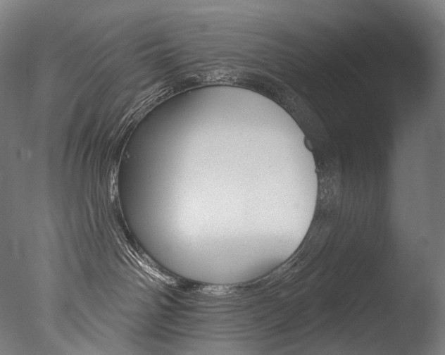 X0000077310142200610200851