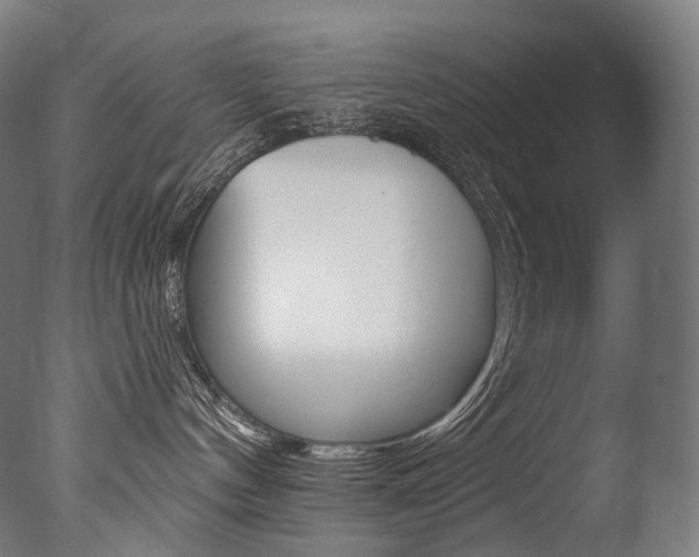 X0000077310144200610200851