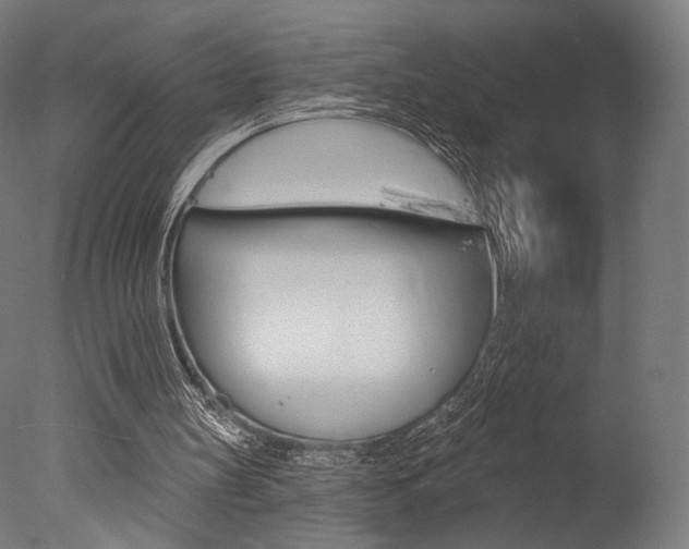 X0000077310147200610200850