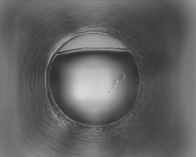 X0000077310148200610200850