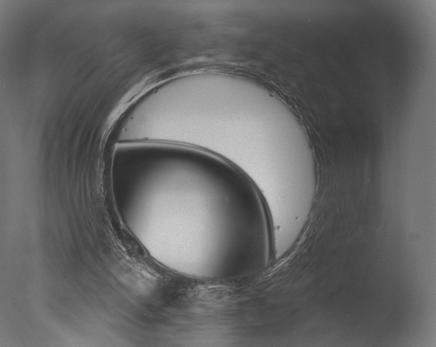 X0000077310150200610200850