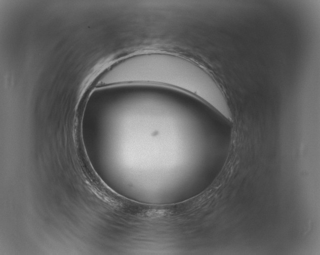 X0000077310152200610200850