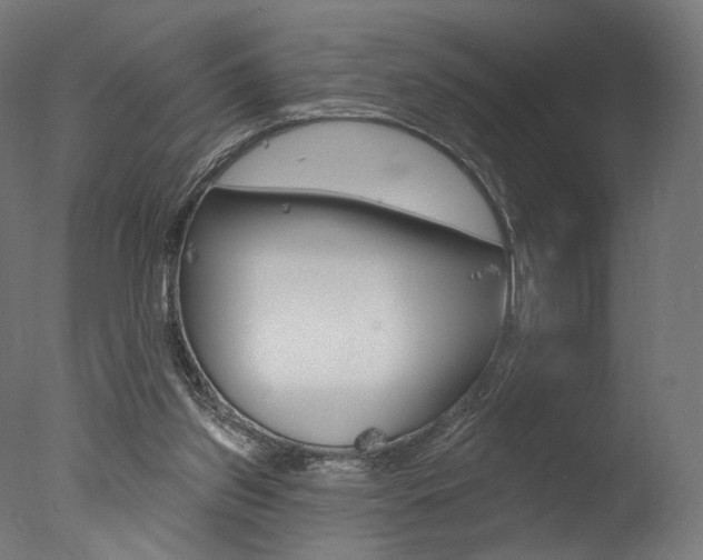 X0000077310157200610200850