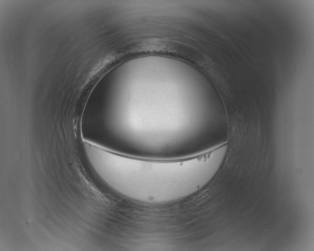 X0000077310160200610200850
