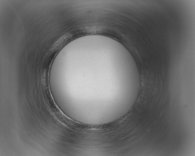 X0000077310163200610200851