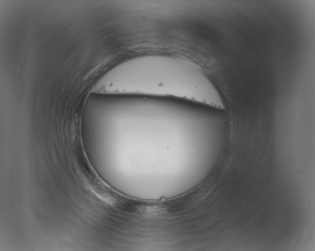 X0000077310165200610200851