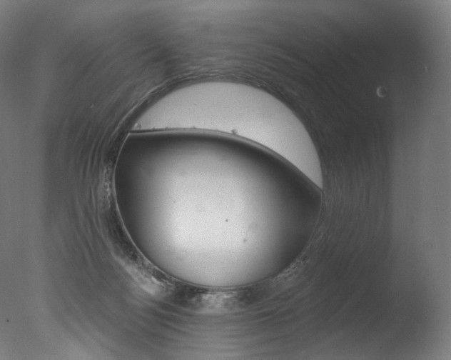 X0000077310172200610200851