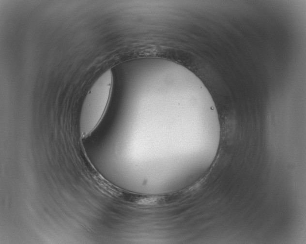 X0000077310178200610200851
