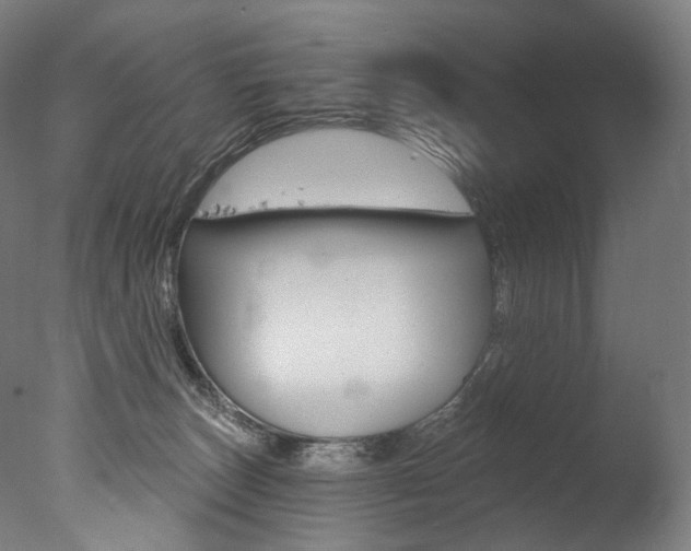 X0000077310179200610200851