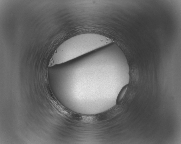 X0000077310185200610200851