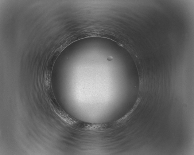 X0000077310186200610200851