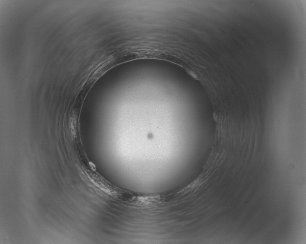 X0000077310188200610200851