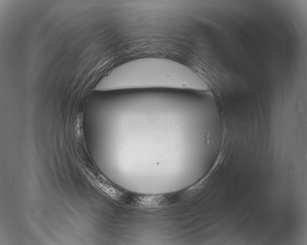 X0000077310191200610200851