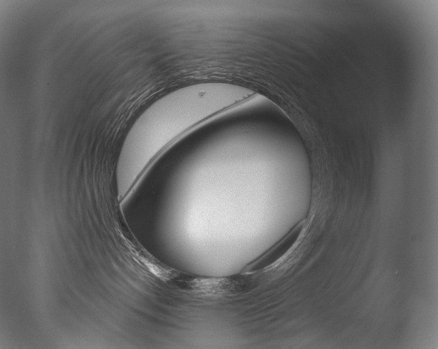 X0000077310192200610200851