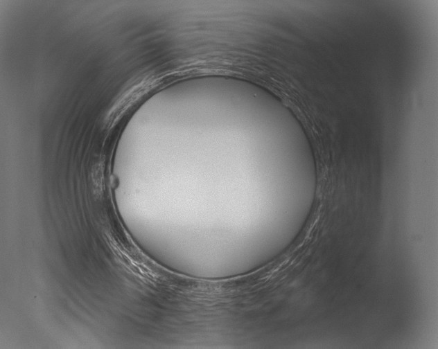 X0000077310194200610200850