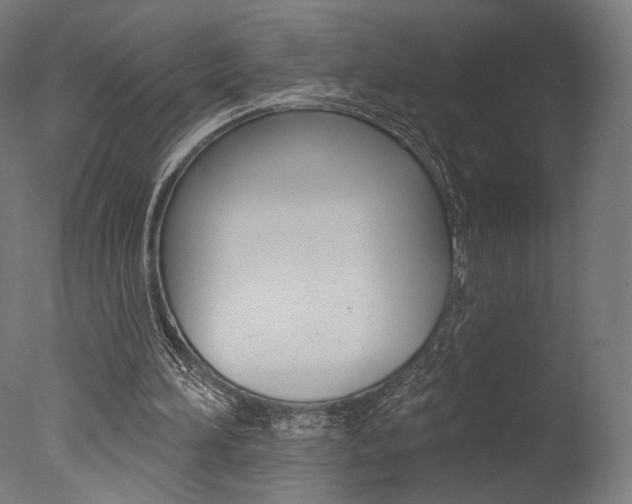 X0000077310196200610200850