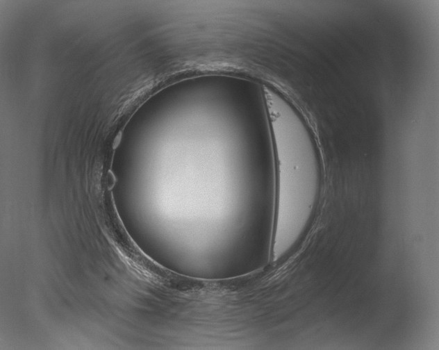 X0000077310201200610200850