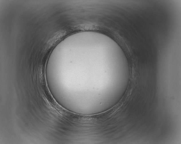 X0000077310202200610200850