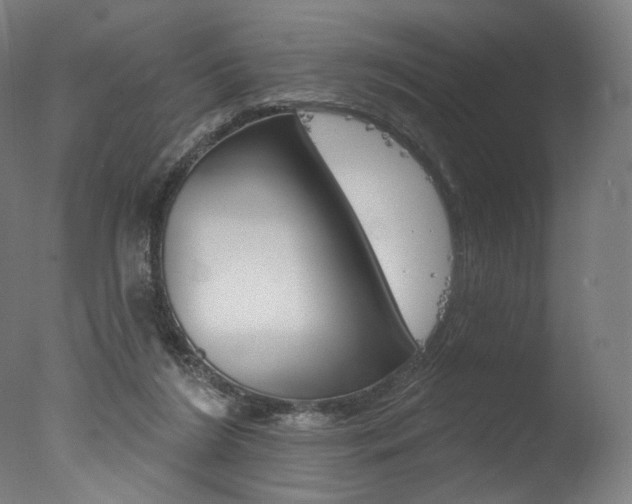 X0000077310212200610200850