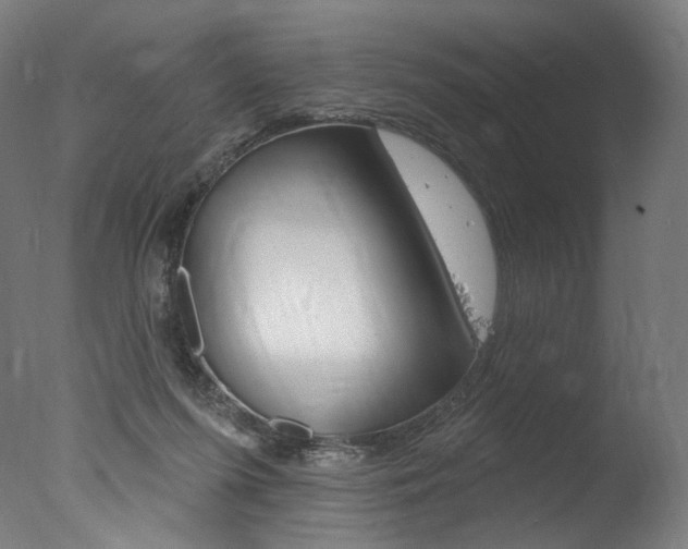 X0000077310215200610200850