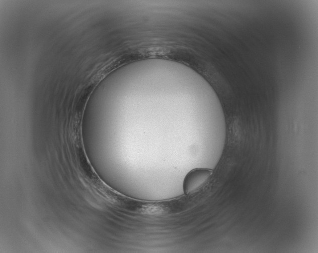 X0000077310218200610200850