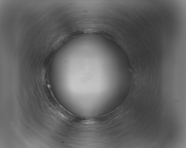 X0000077310219200610200850