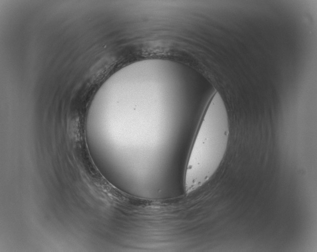 X0000077310224200610200850