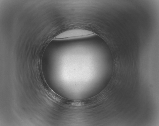 X0000077310225200610200850