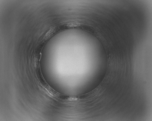 X0000077310227200610200850