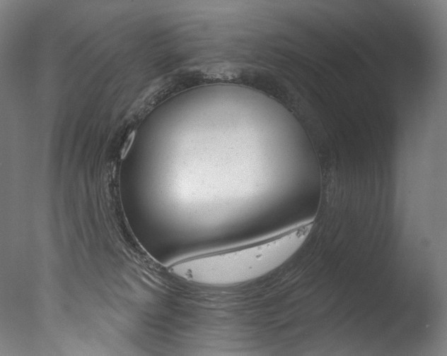 X0000077310229200610200850