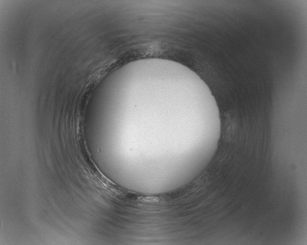 X0000077310230200610200850