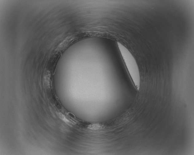 X0000077310231200610200850