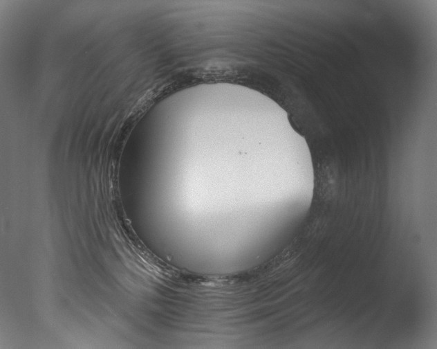 X0000077310232200610200850