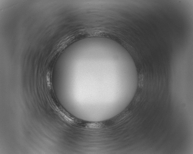 X0000077310238200610200849