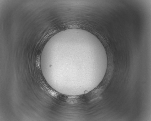 X0000077310240200610200849