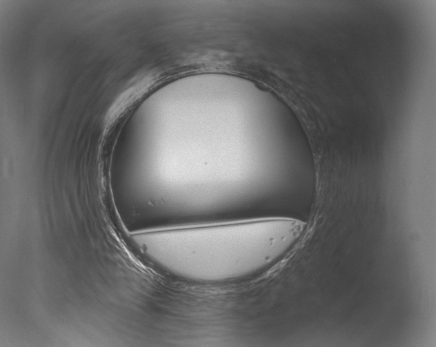 X0000077310245200610200849