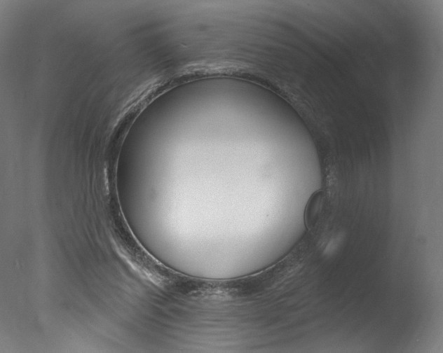 X0000077310254200610200849