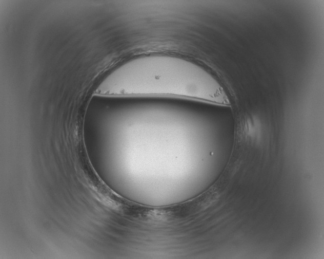 X0000077310261200610200849