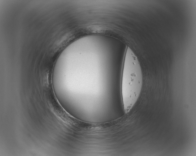 X0000077310262200610200849