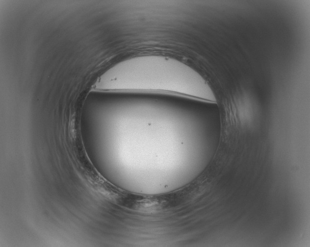 X0000077310267200610200849