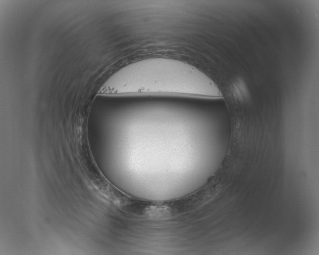 X0000077310271200610200849