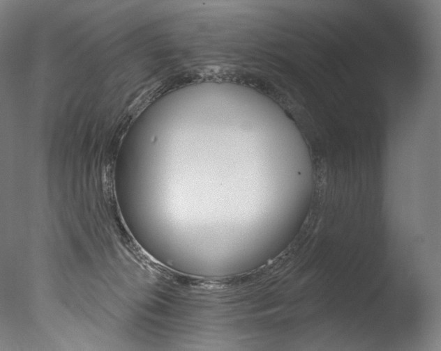 X0000077310276200610200849