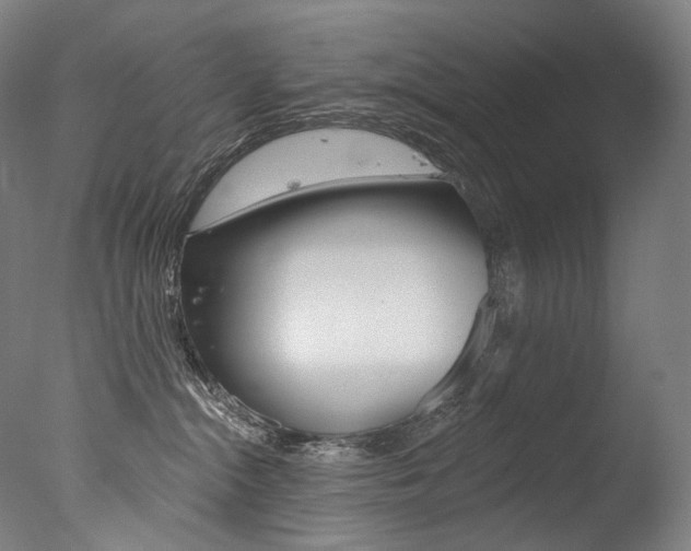 X0000077310284200610200849