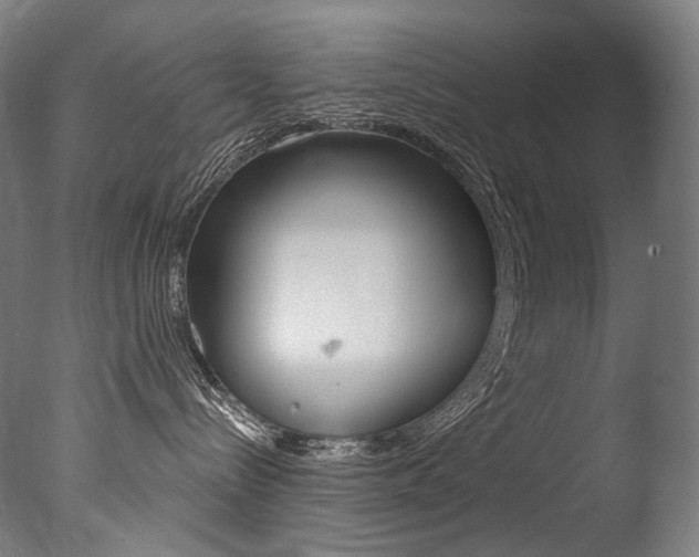 X0000077310288200610200849