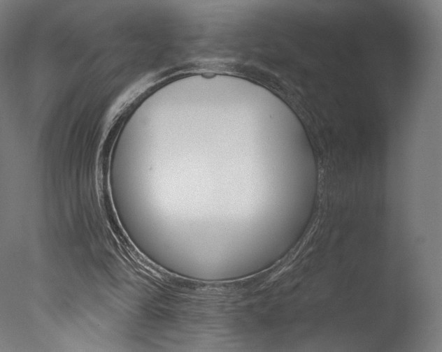 X0000077310294200610200849