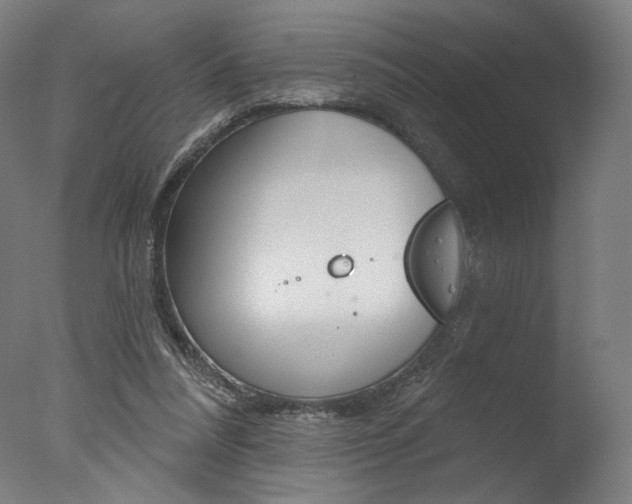 X0000077310304200610200848