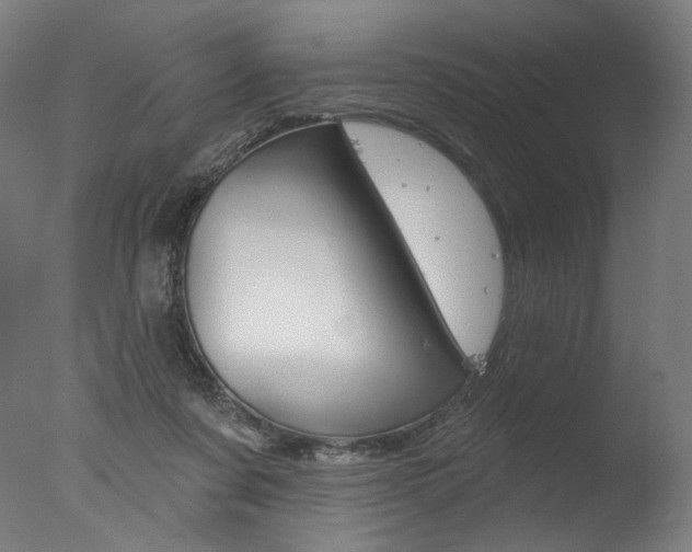 X0000077310311200610200848
