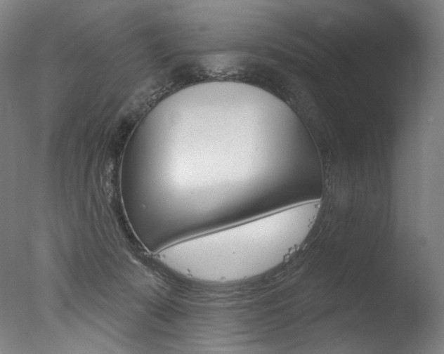 X0000077310319200610200848