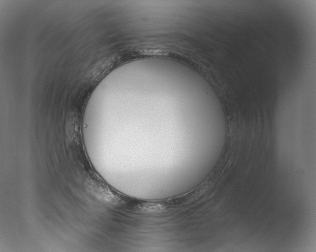 X0000077310322200610200848