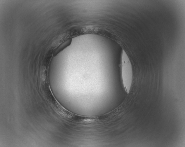 X0000077310323200610200848